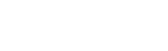 Société de sécurité Vénissieux
